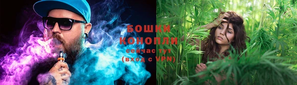 jwh Шадринск
