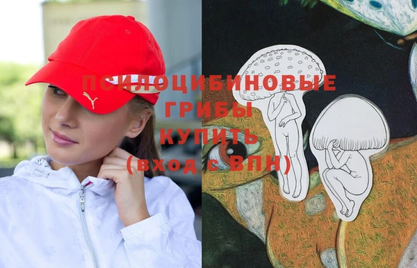 бошки Чекалин