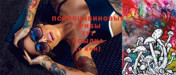 прущий лед Чердынь