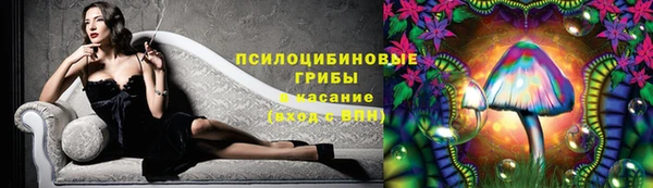 шишки Шарыпово