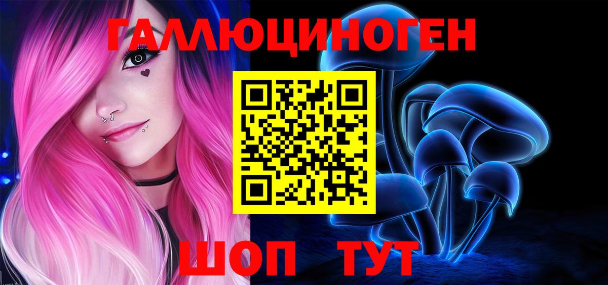 Сочи  купить закладку  Вход с VPN  Галлюциногенные грибы Psilocybine cubensis  Псилоцибиновые грибы прущие грибы 