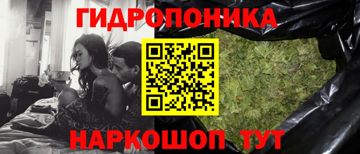 Бошки Шишки марихуана Сочи